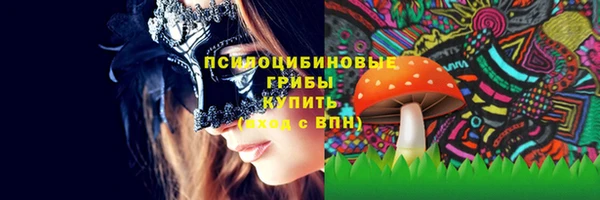 СК Аркадак