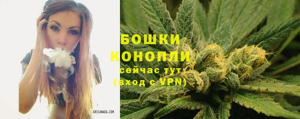 бутират Арсеньев