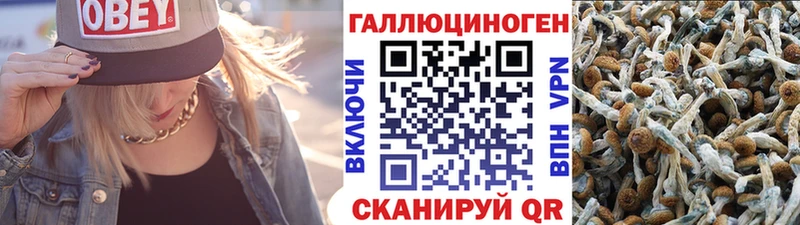как найти закладки  Лесной  Галлюциногенные грибы мицелий 