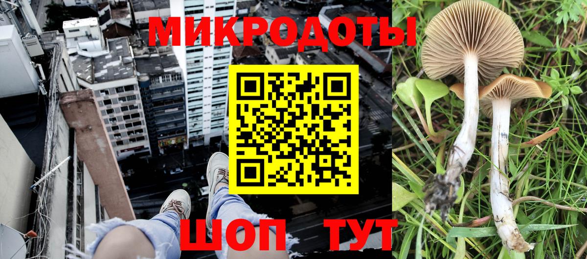 наркота  Галлюциногенные грибы Psilocybine cubensis  Вход с VPN  Лесной 