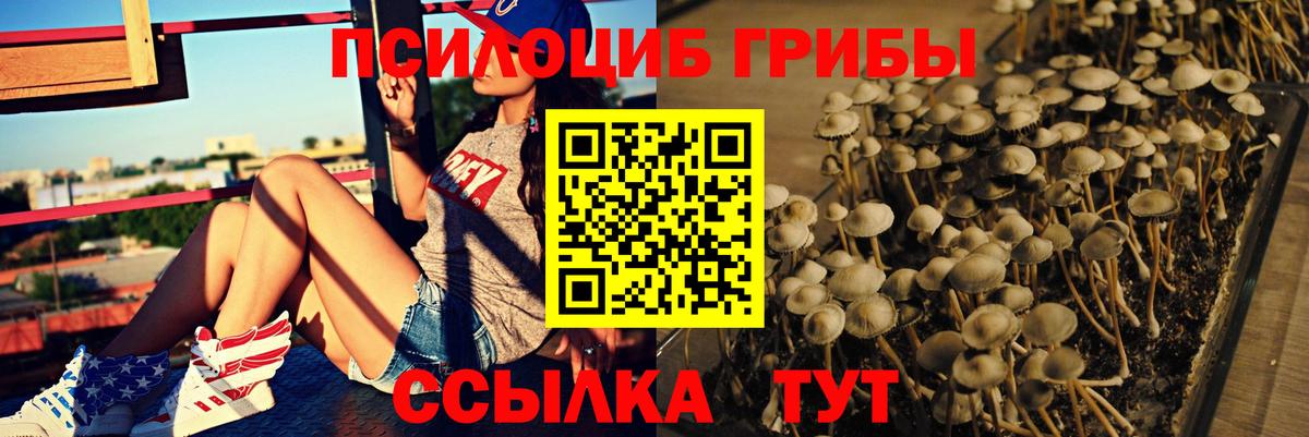 Галлюциногенные грибы MAGIC MUSHROOMS Лесной